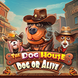 The Dog House - Dog Or Alive